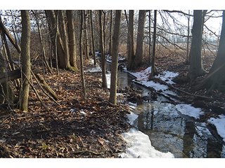 Property photo 31 - FARMLAND AUCTION, 60+/- Acres in 6 Tracts ranging from 4 to 20 acres & in combinations!